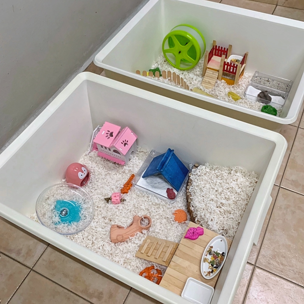 Ikea samla box hamster cage hot sale