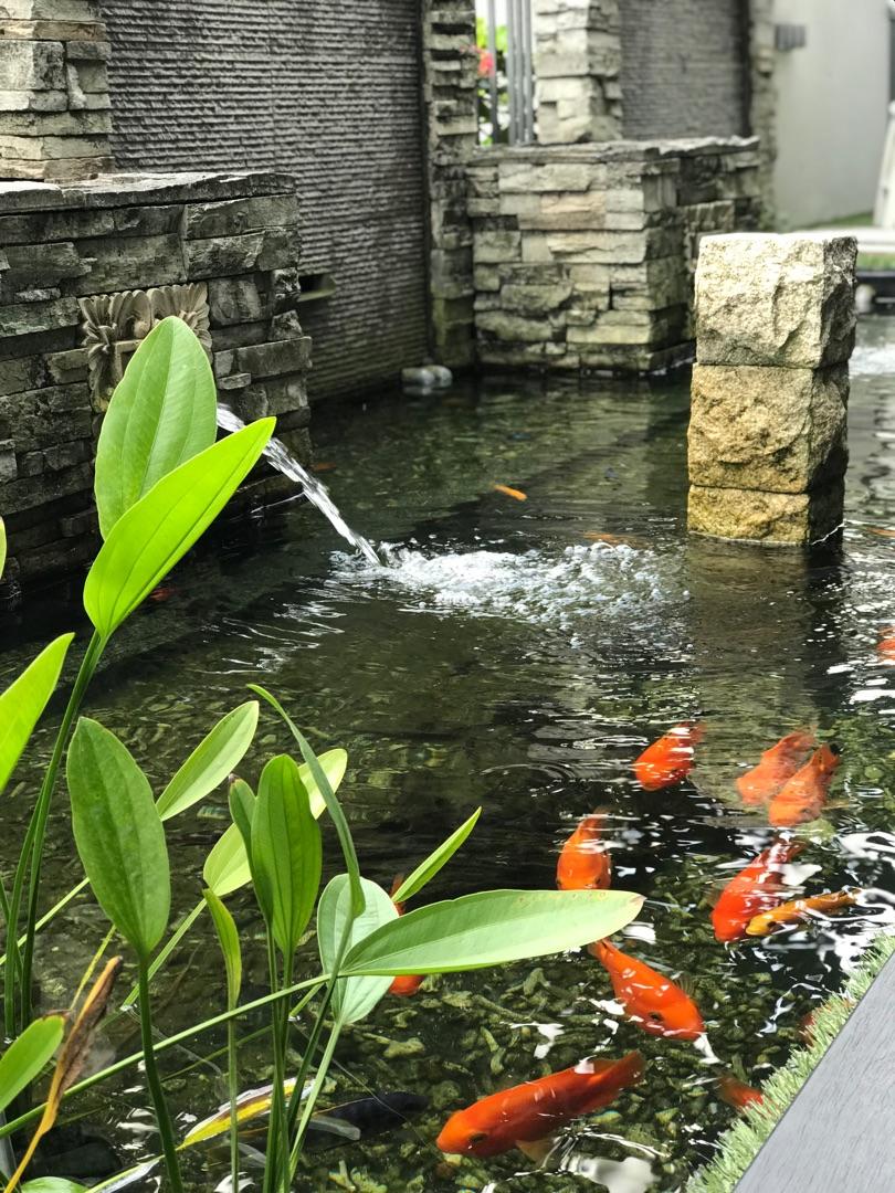 Rare ground floor big patio with pond. Closest to landed feel