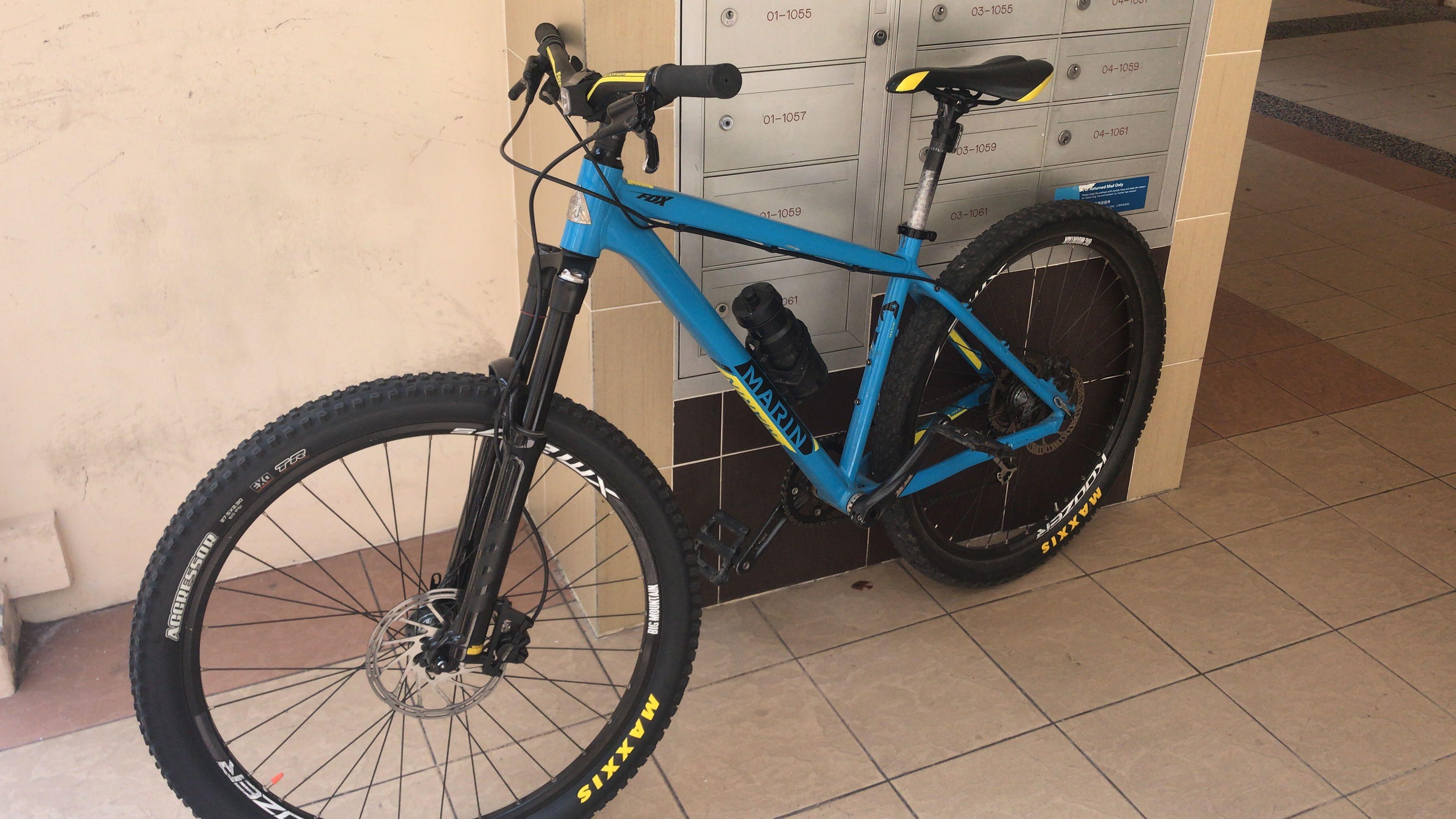 Marin bobcat trail 7 top