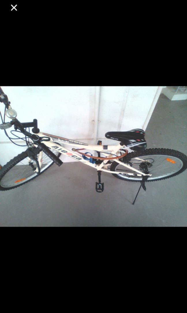 adult road bike