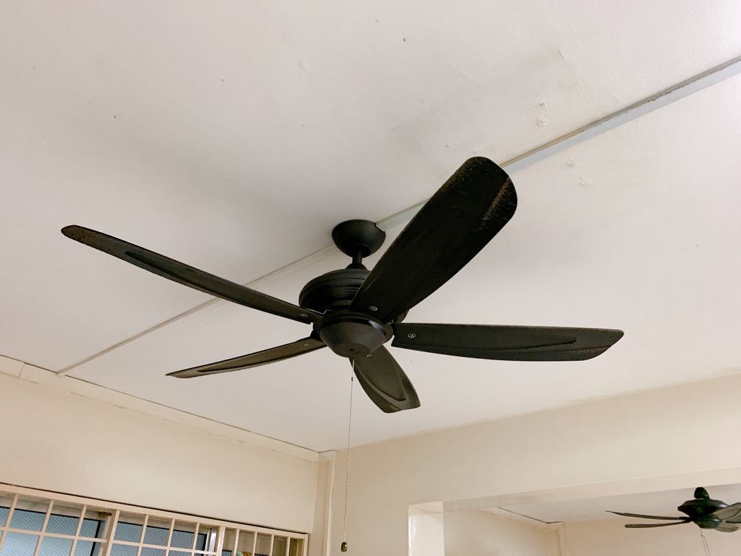 Ceiling Fan X3 At Low Price Before 9 Sept On Carousell
