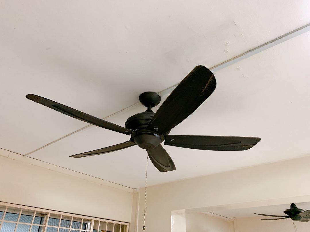 Ceiling Fan X3 At Low Price Before 9 Sept On Carousell