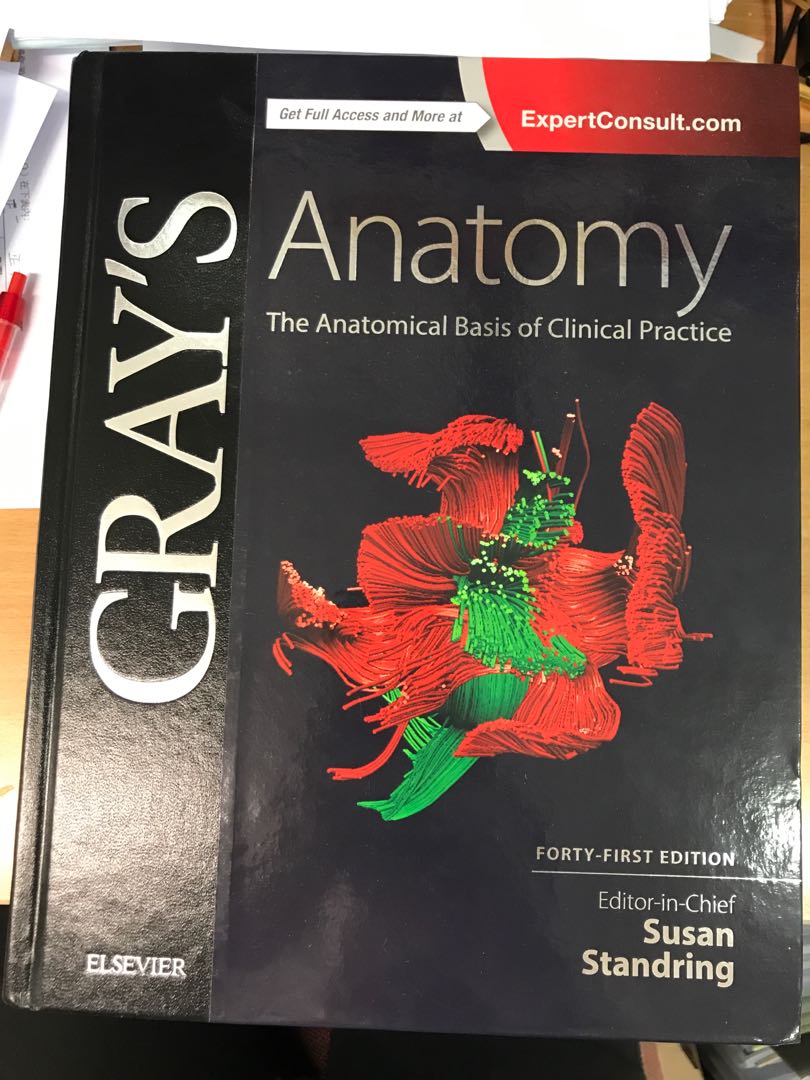 Gray S Anatomy The Anatomical Basis Of Clinical Practice