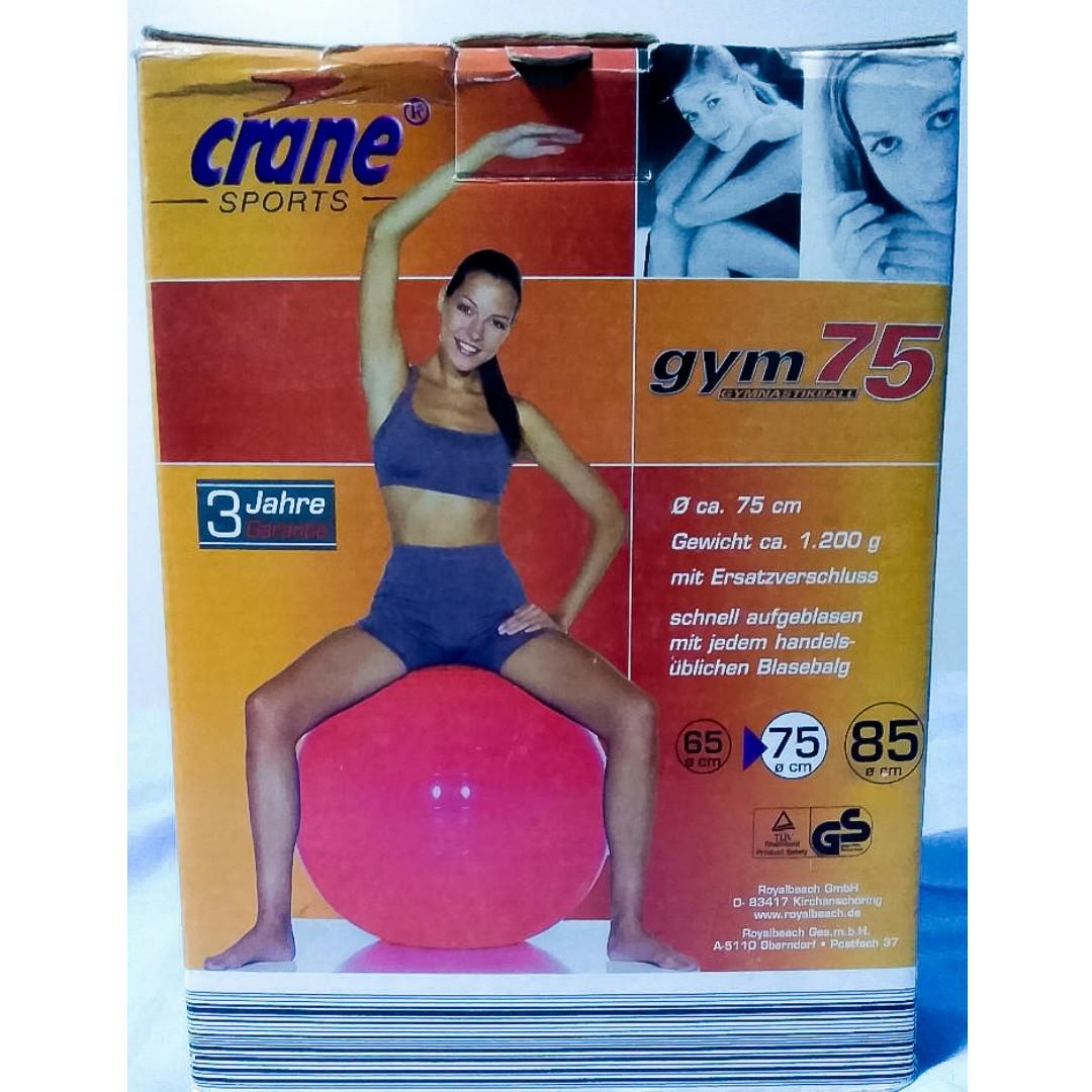 crane gym ball