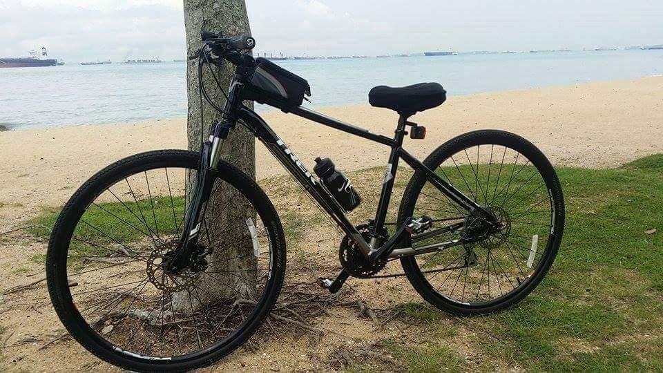 361 mtb 2019