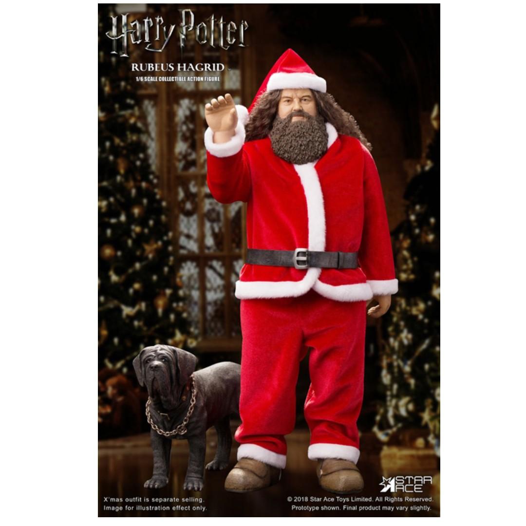 Pre Order Xm0006 Harry Potter And The Sorcerer S Stone Rubeus