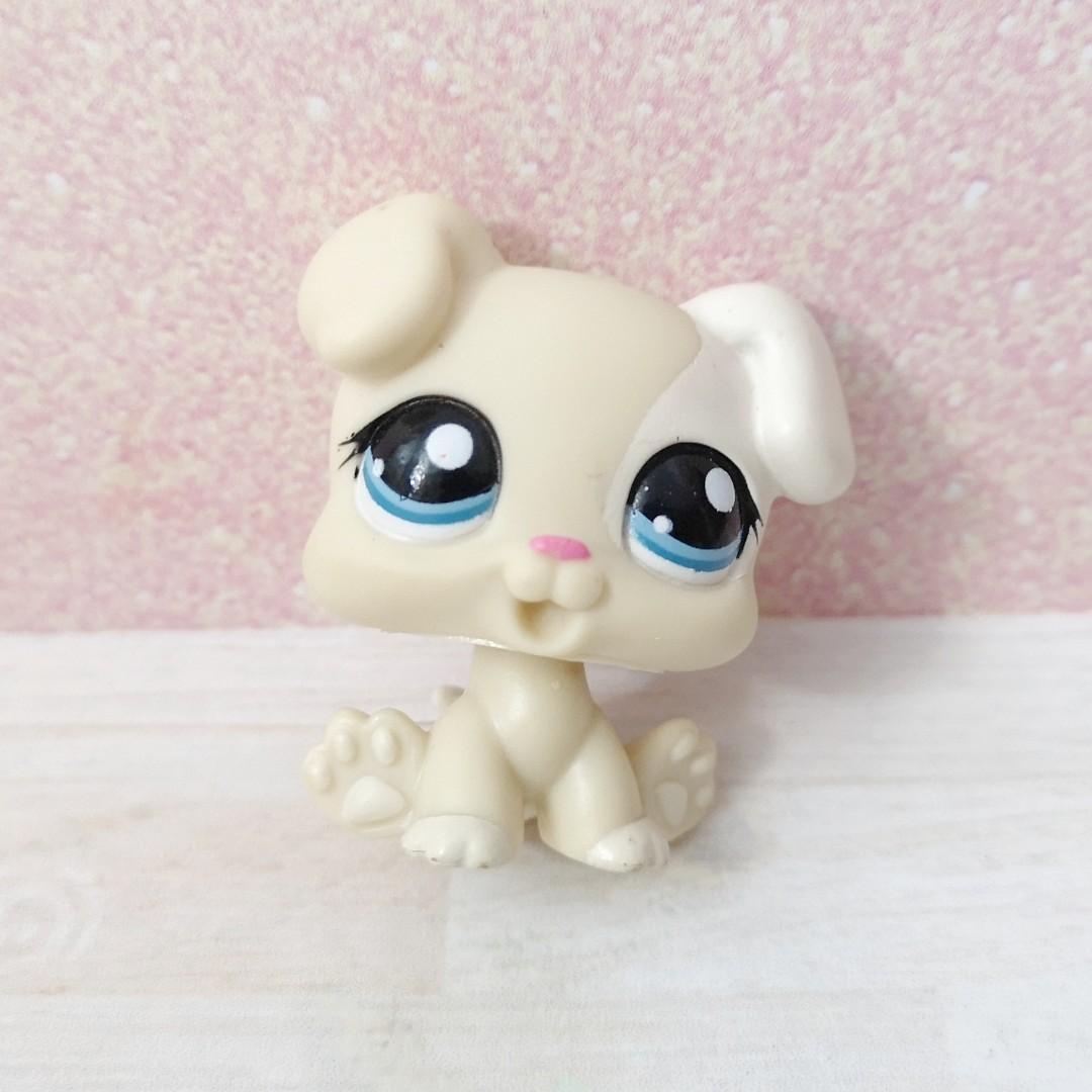 lps rare dogs