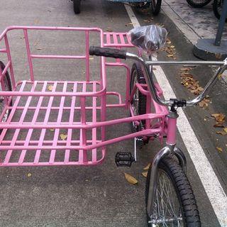 bike with sidecar price