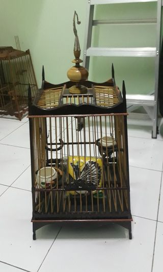 Sangkar Burung 10 16 17 22 23 Inch On Carousell