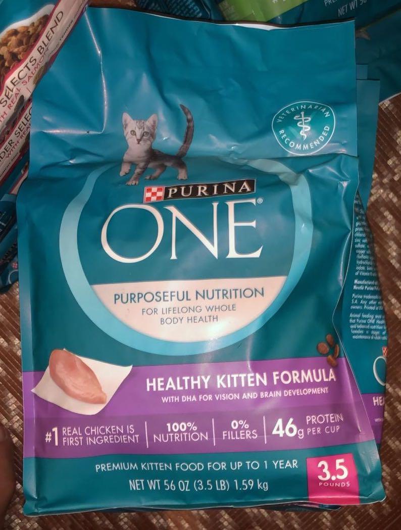 purina one healthy kitten formula dry cat food