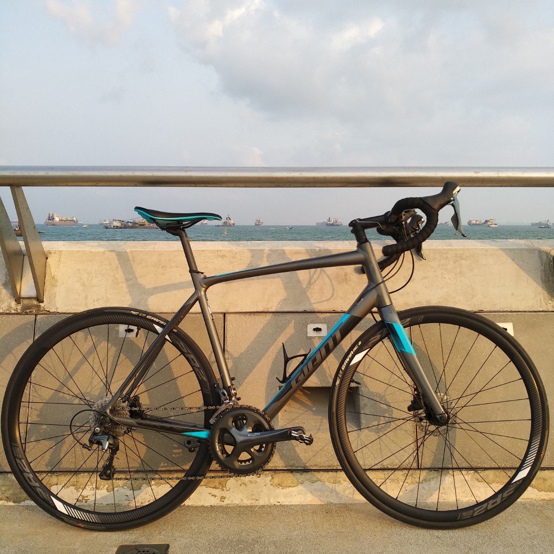 giant contend sl