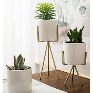 One Set of  Tripod  Ceramic Succulent Pots