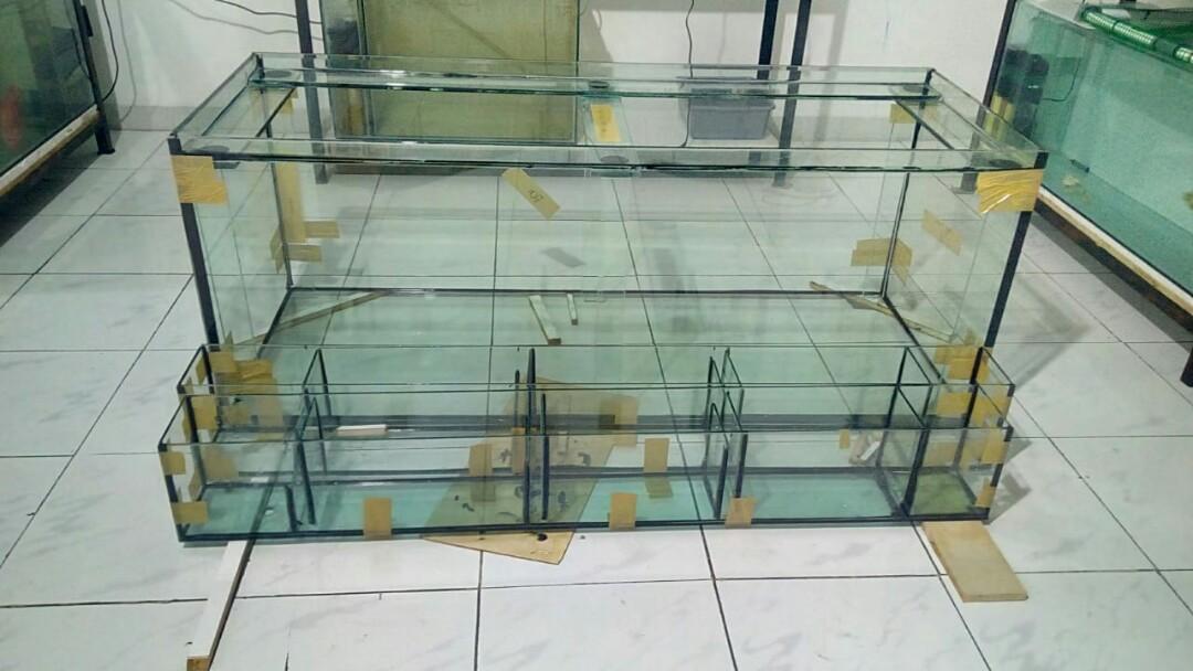 Akuarium Ikan Hias Ukuran 100 X 40 X 40 X 5mm Design Craft