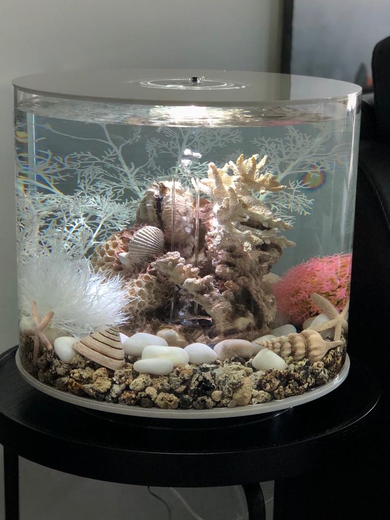 Biorb tube 35 hot sale