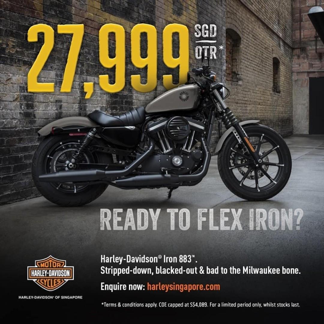 Brand New 19 Harley Davidson Sportster Iron 8 Motorcycles Motorcycle Accessories On Carousell