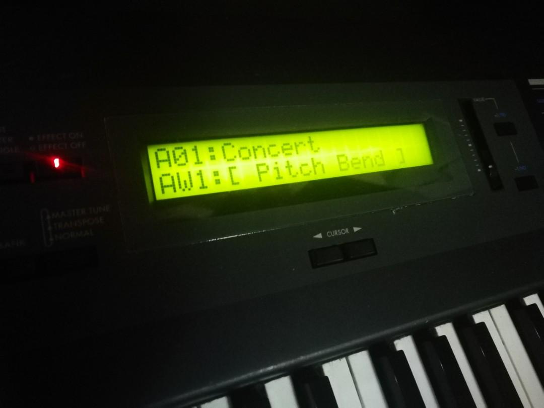 SG ProX 88Key Weighted Action Synthesizer, Hobbies & Toys, Music