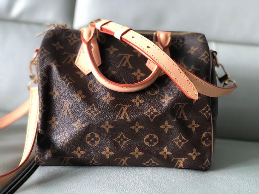 Louis Vuitton Speedy Collection Printemps-Ete 2010, Luxury, Bags & Wallets  on Carousell