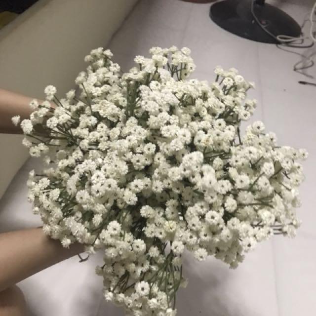 Fake baby breath 99% looks like real perfect for wedding, Furniture & Home  Living, Home Decor, Other Home Decor on Carousell