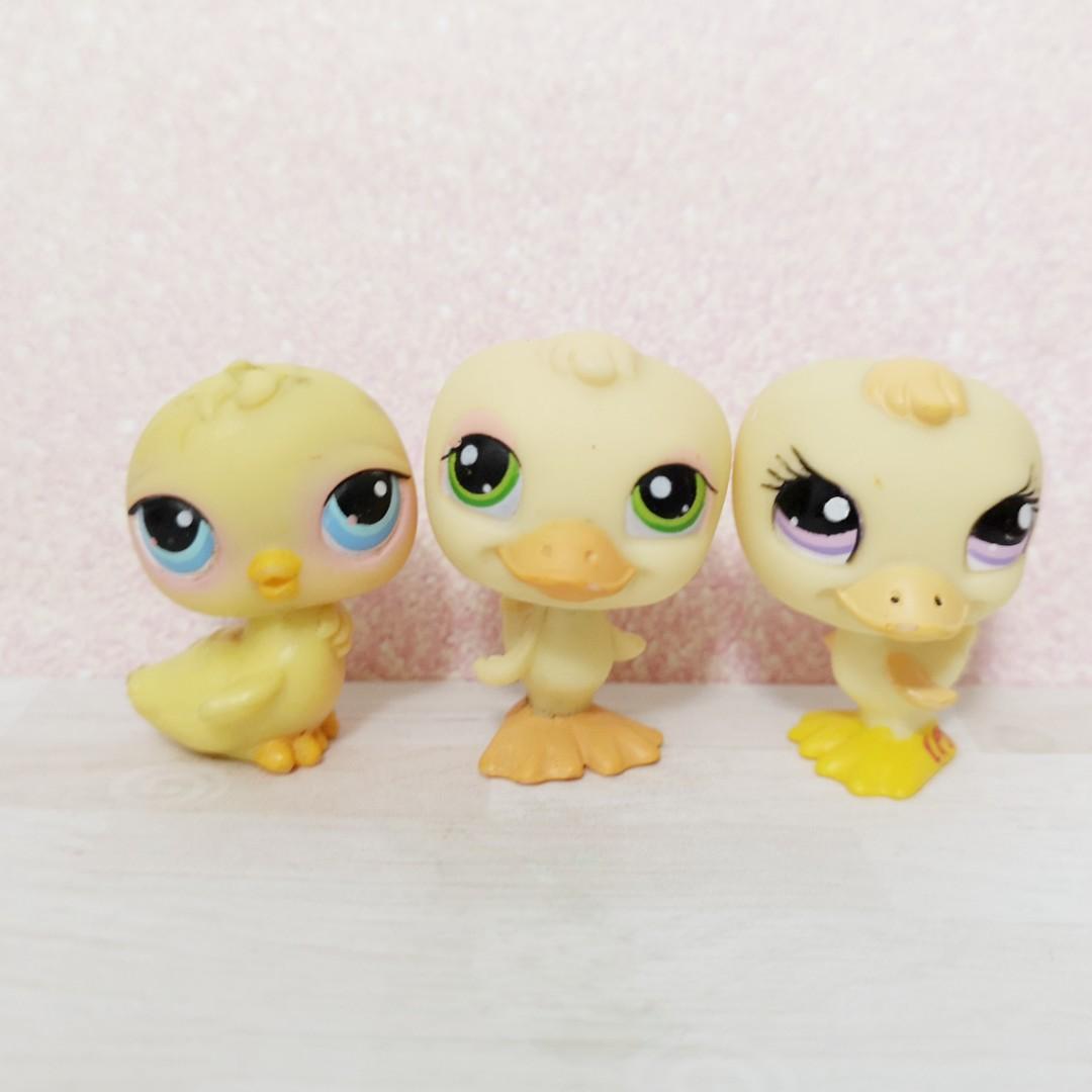 littlest pet shop duck