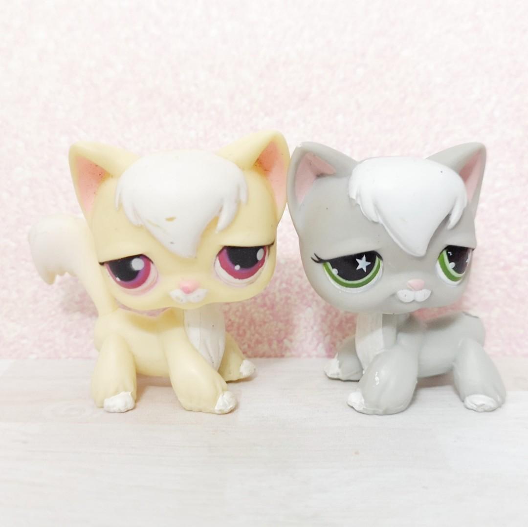 lps angora cat