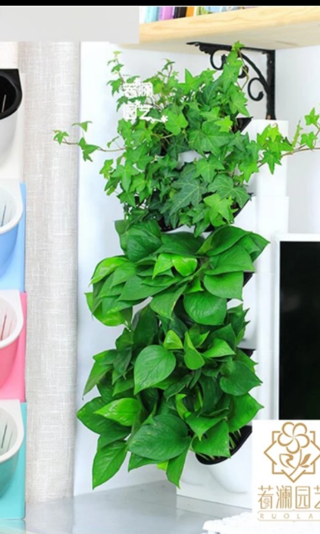 Preloved Hydroponics Setup System 16 Gardening Pots Planters