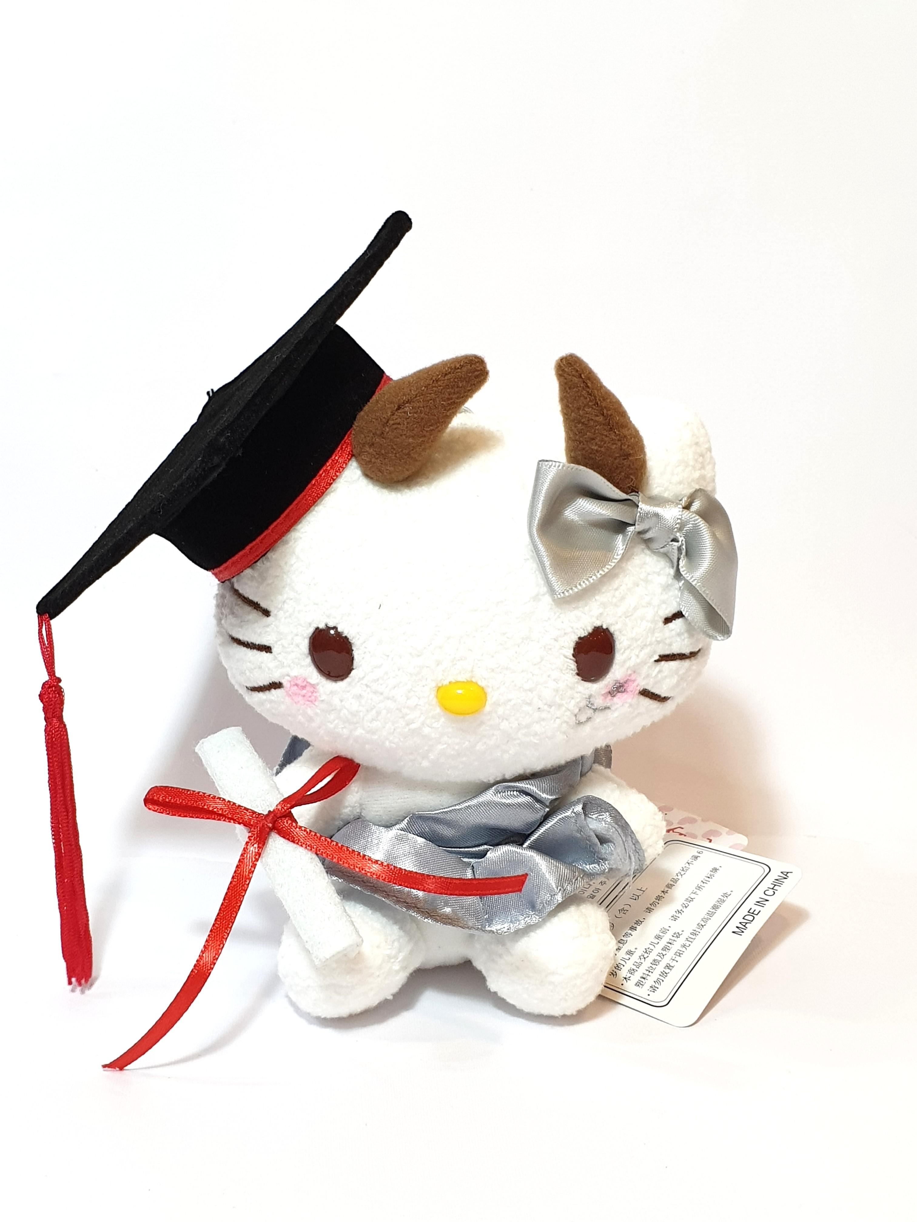 hello kitty graduation plush 2019