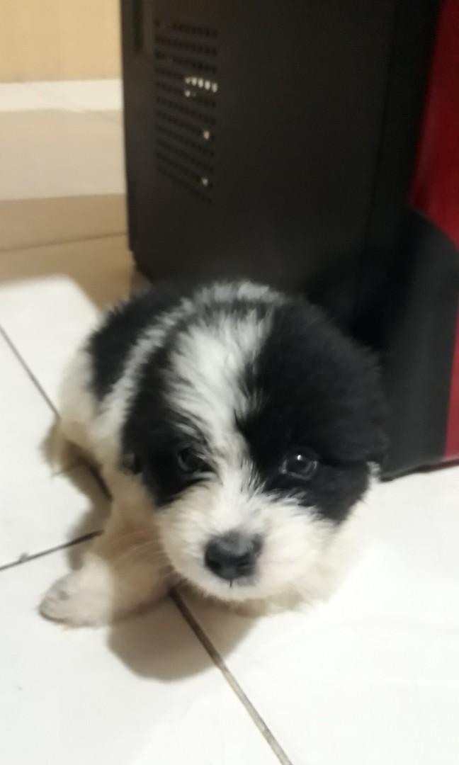 Carousell Snap To List Chat To Buy