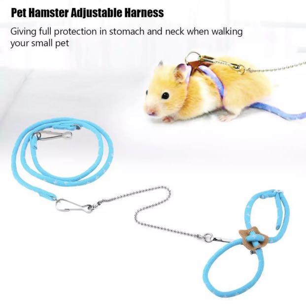 hamster leash