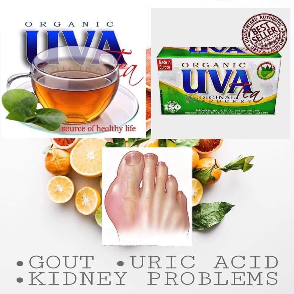 Natural herbal tea (Uva ursi) for UTI, kidney, gout., Health