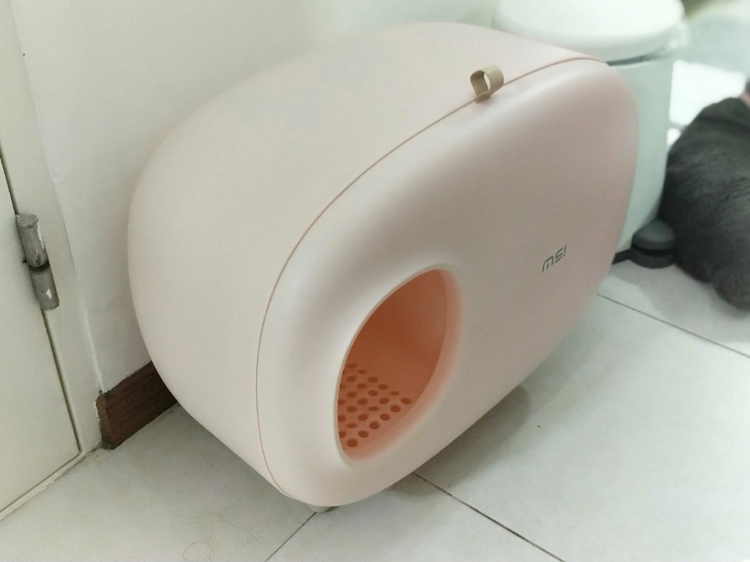 make sure litter box