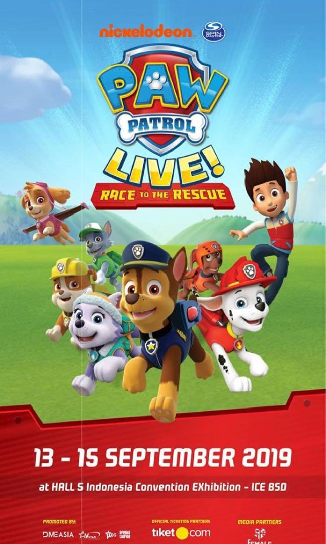 Paw patrol sale ice bsd