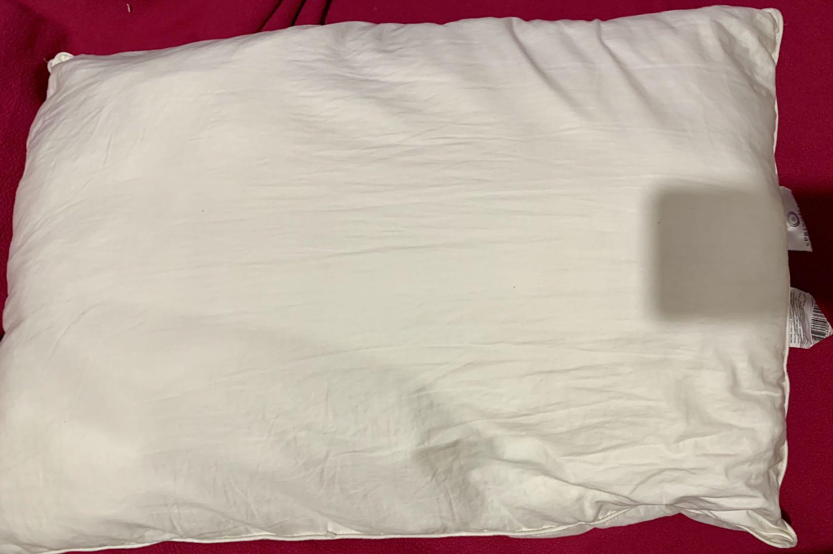 Springmaid pillows outlet