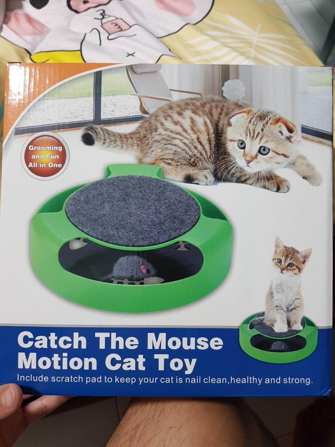 Catch The Mouse Cat Toy Pet Supplies For Cats Cat Accessories