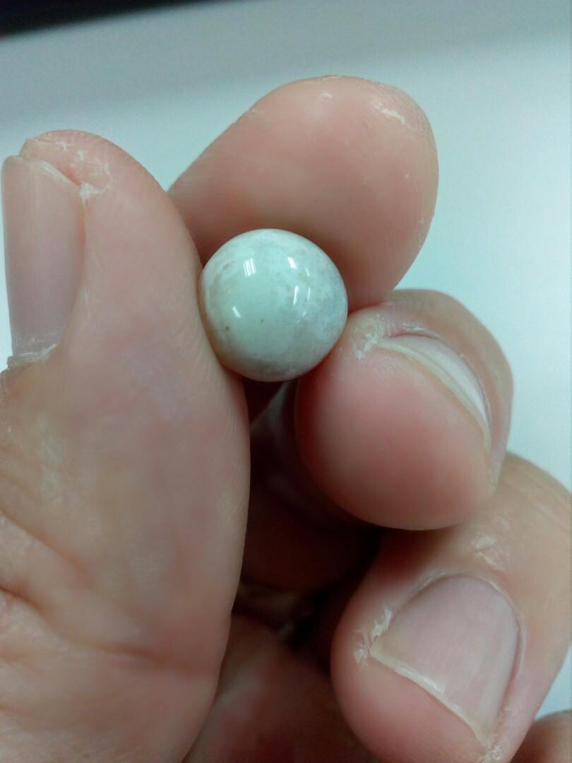 Geliga Burung Raja Udang 1a Men S Fashion Accessories Others On