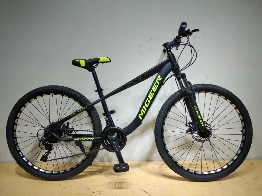 fixie mtb bike