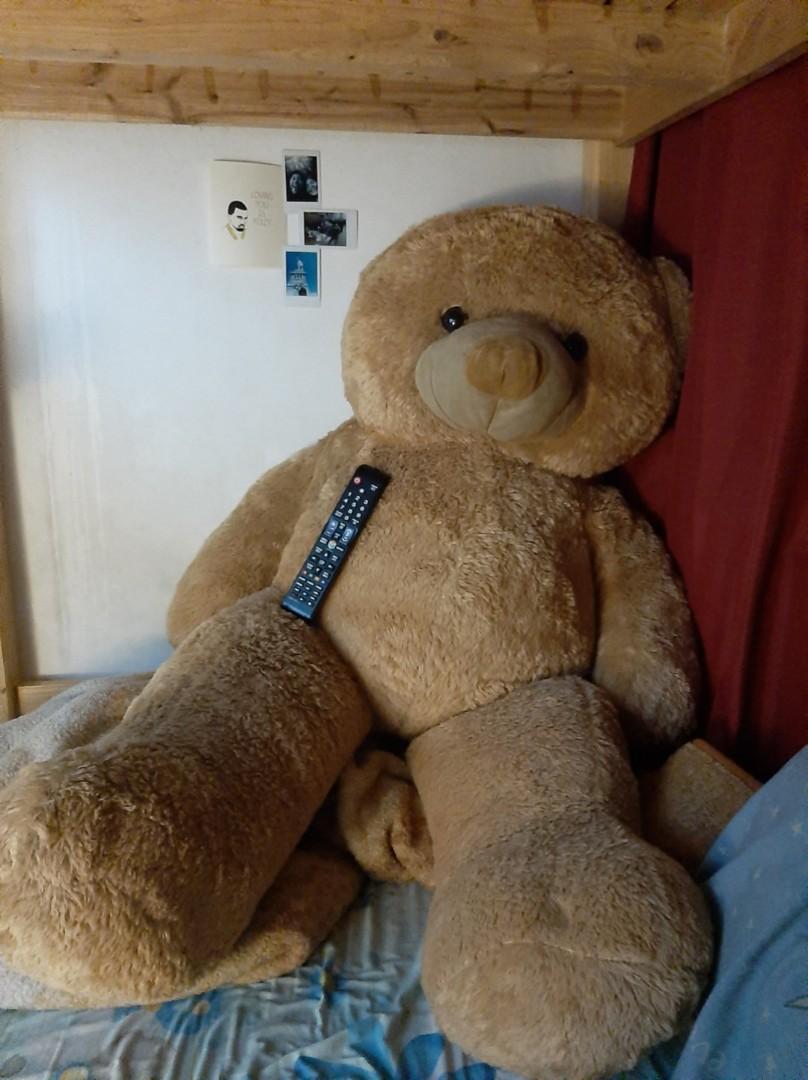 4ft teddy bear price