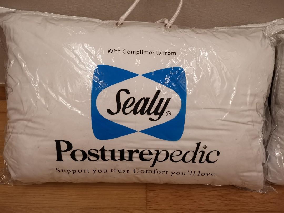 sealy spinal alignment pillow