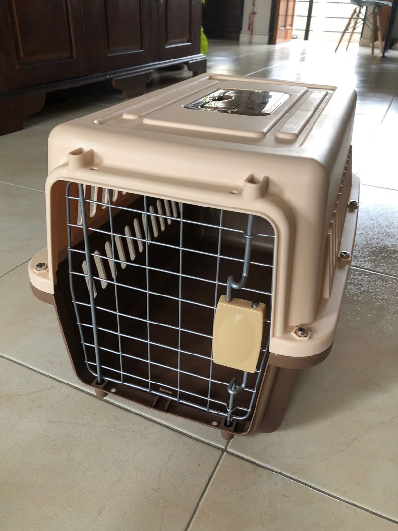 Cat Carrier, Pet Supplies, Homes & Other Pet Accessories on Carousell