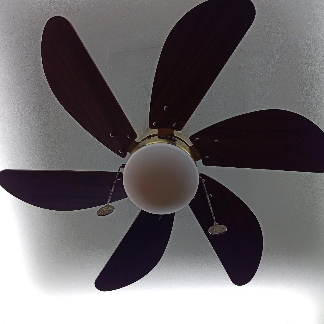 Ceiling Fan On Carousell