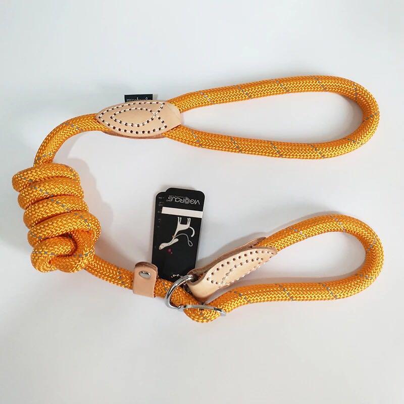 dog slip collar leash