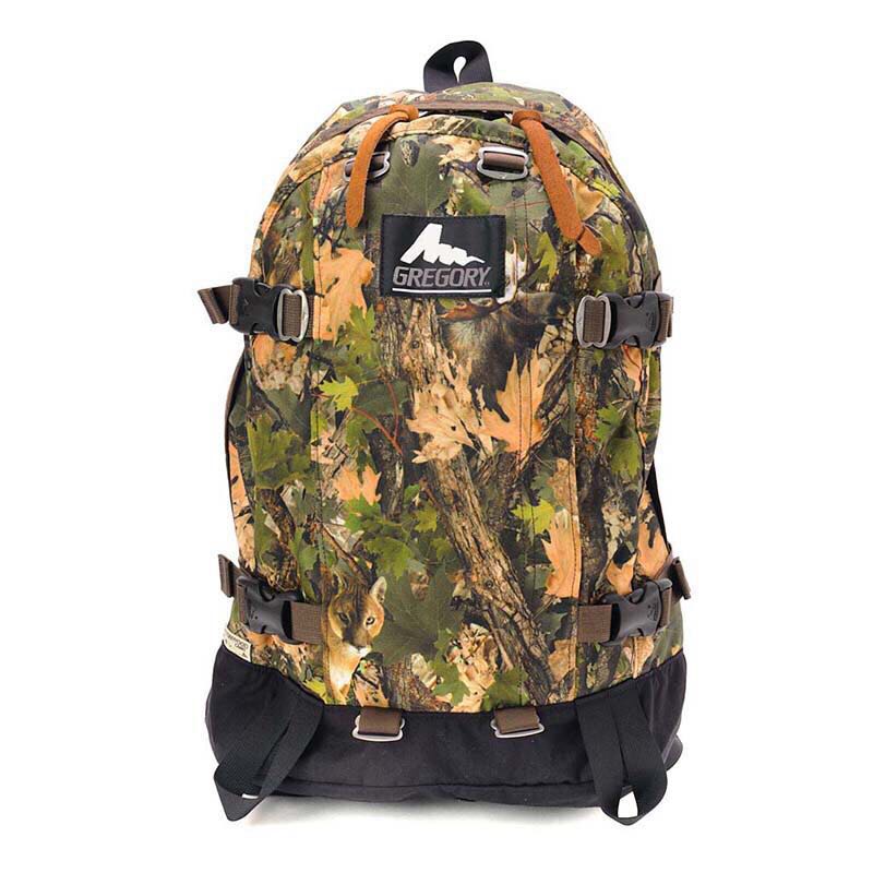 Gregory all best sale day backpack