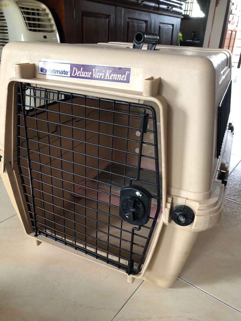 large cat carrier