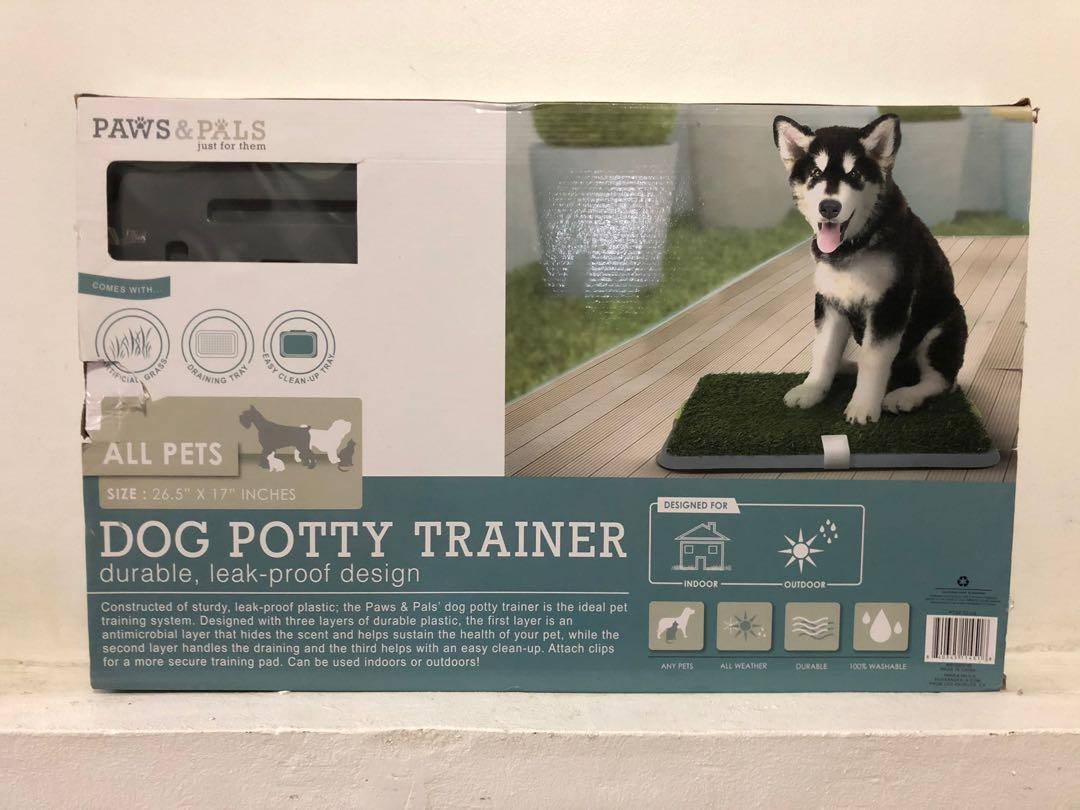 Paws and pals dog top potty trainer