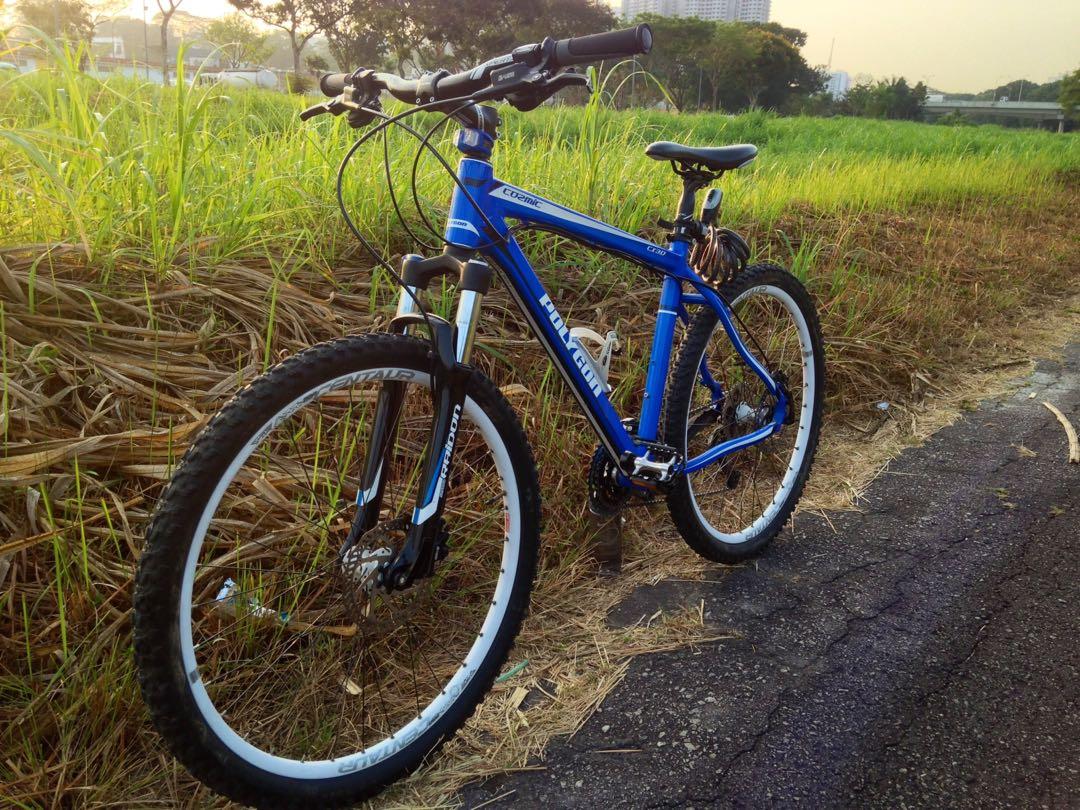 Polygon cozmic outlet cx 3.0 29er