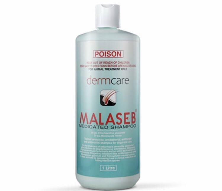 malaseb flush for ears
