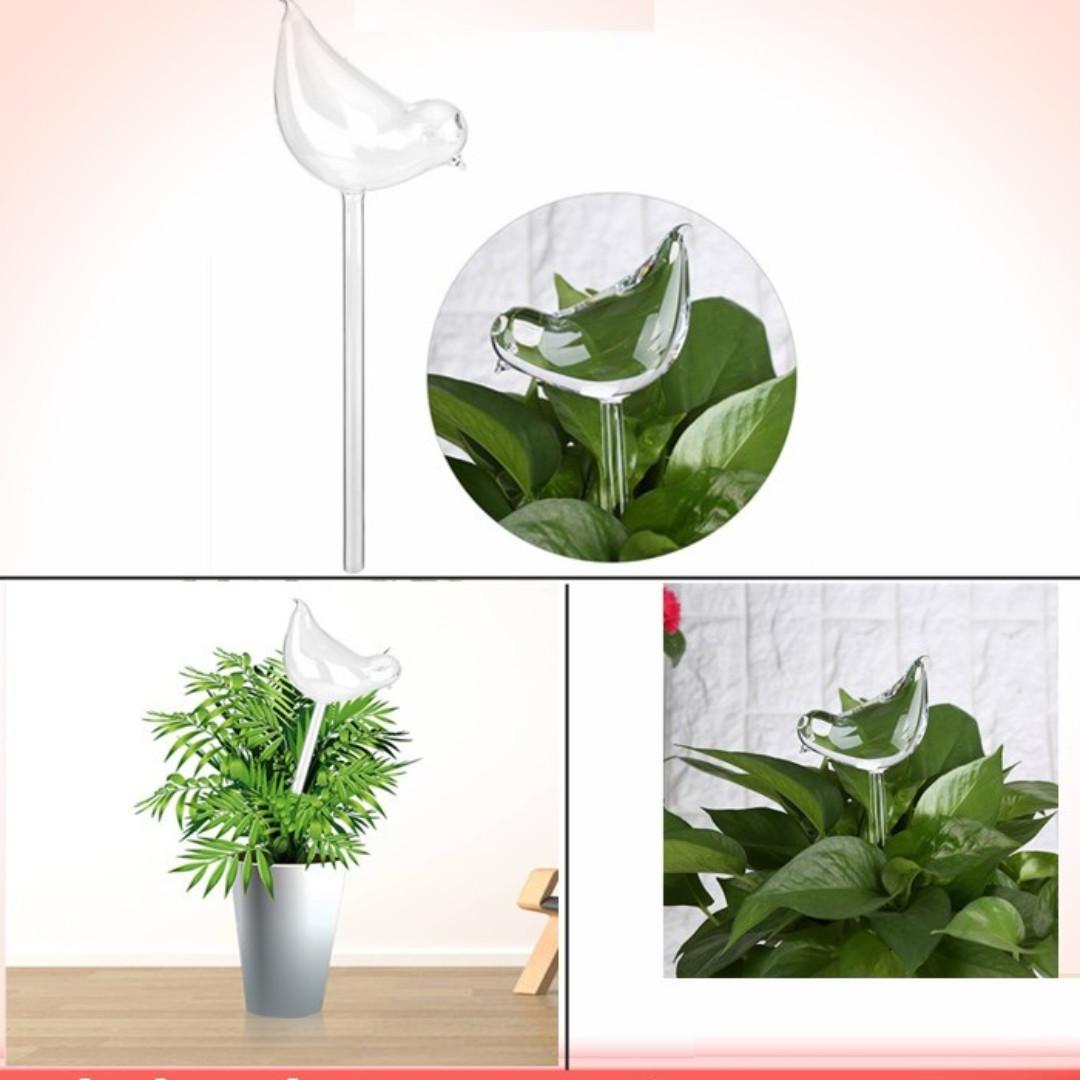 New House Plants Flowers Automatic Self Watering Devices Clear