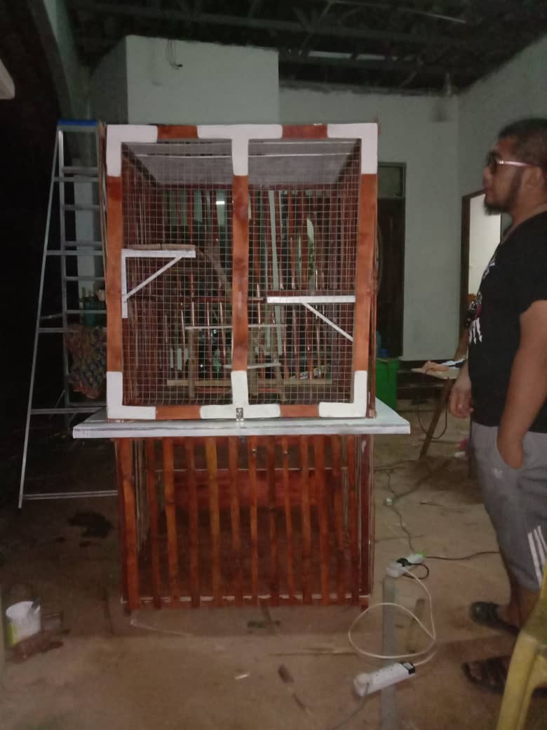 Rumah Kucing custom, Pet Supplies, Homes & Other Pet Accessories on