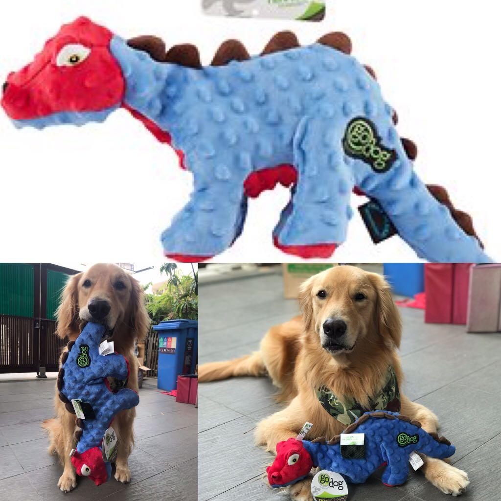 chew guard for dogs