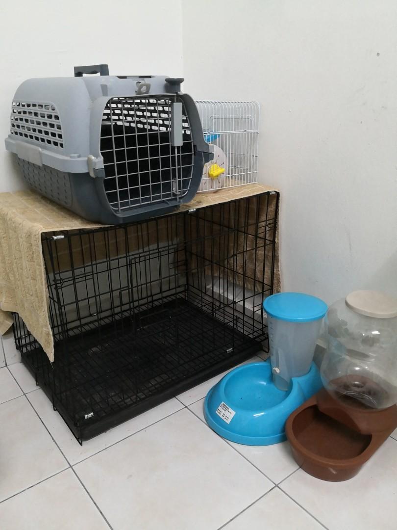 Used combo sangkar, carrier, food and water dispenser kucing, Pet 