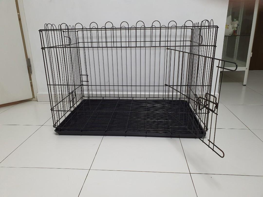 Dog crate top with pee tray